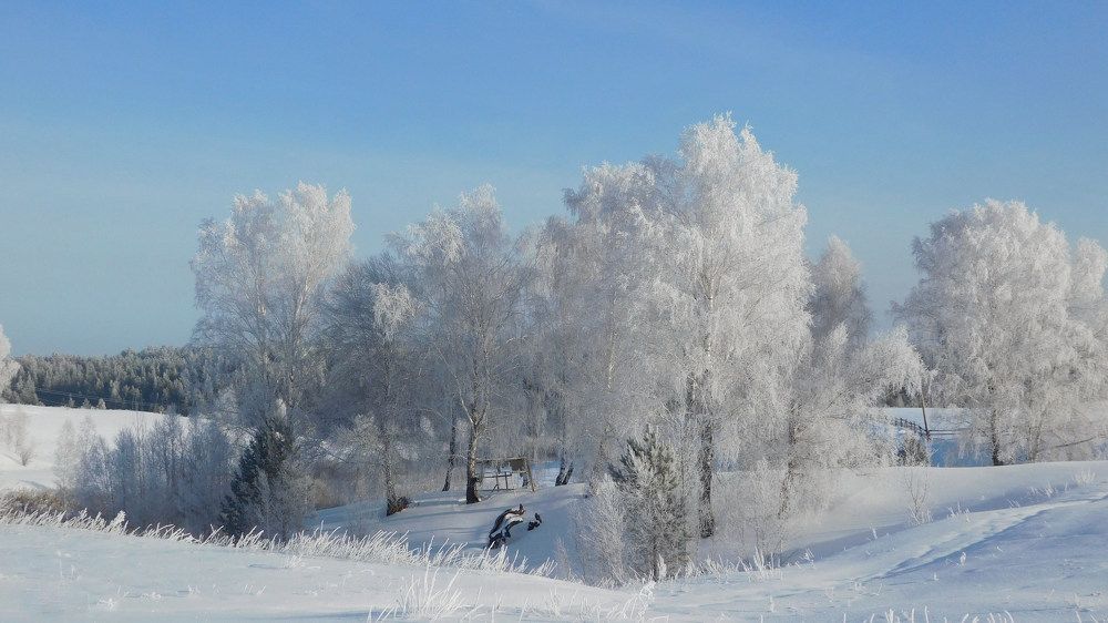 Photo #6898913