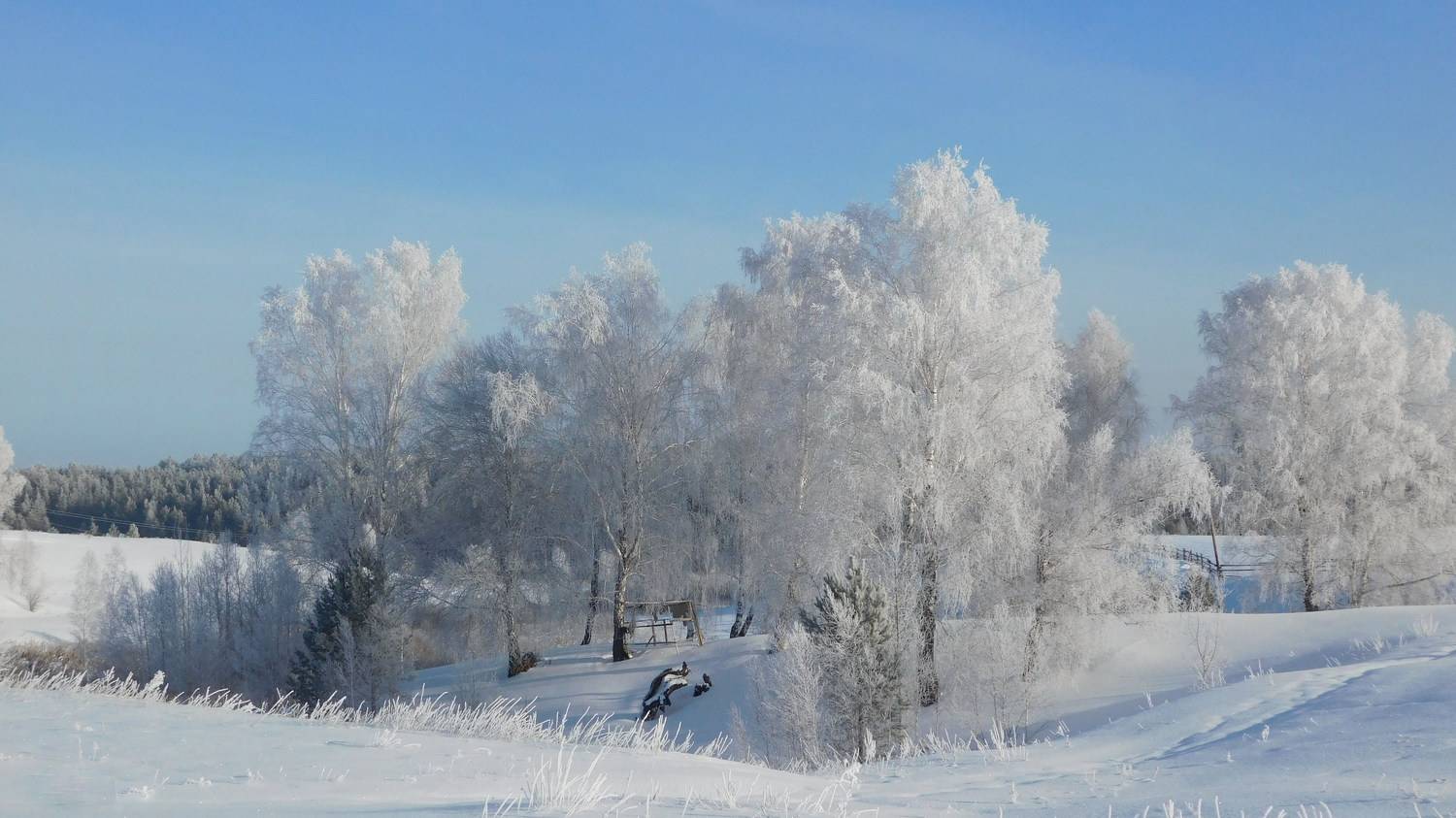 Photo #6898913
