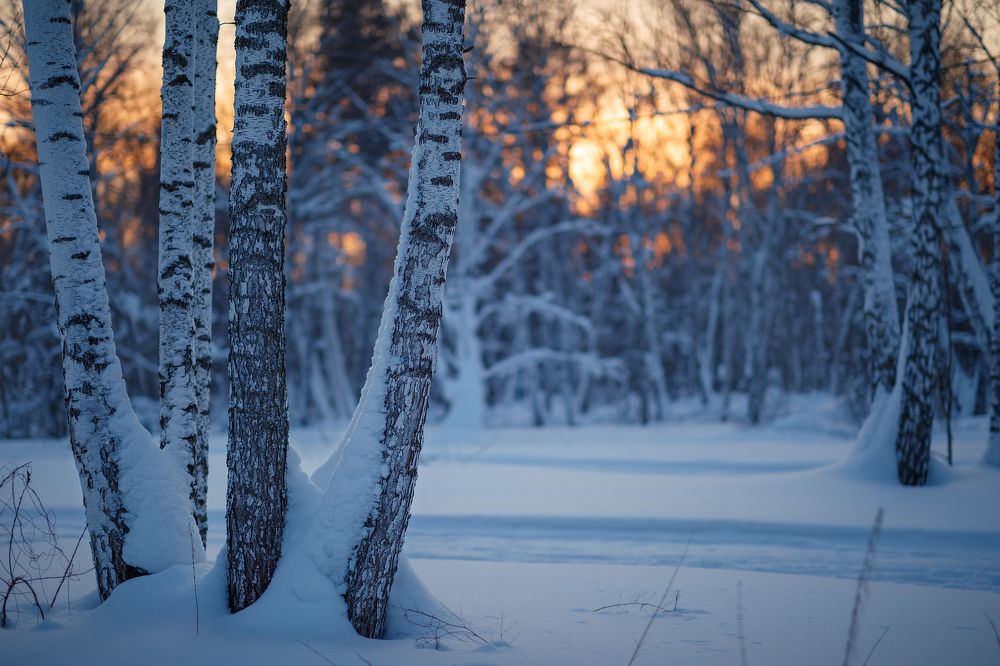 Photograph by Наталья Колодникова