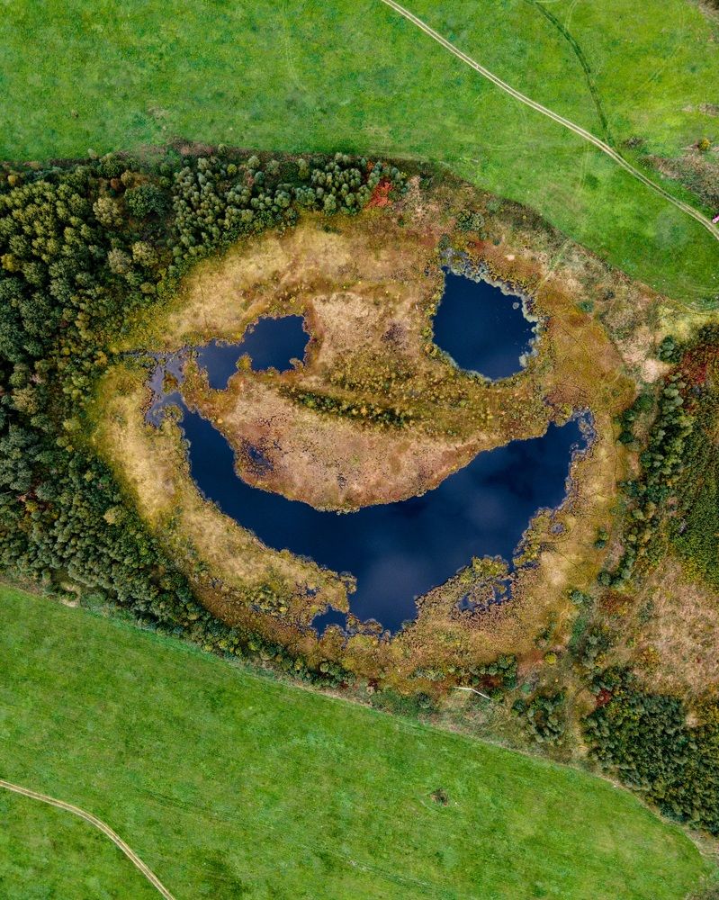 Photograph by Анастасия Юсова