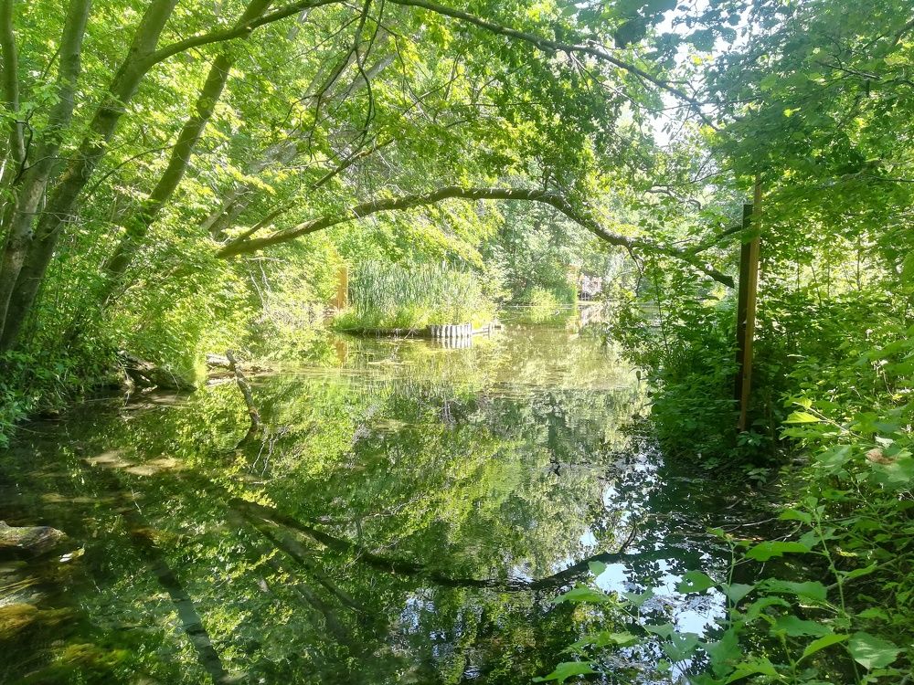 Photograph by Светлана Батурова