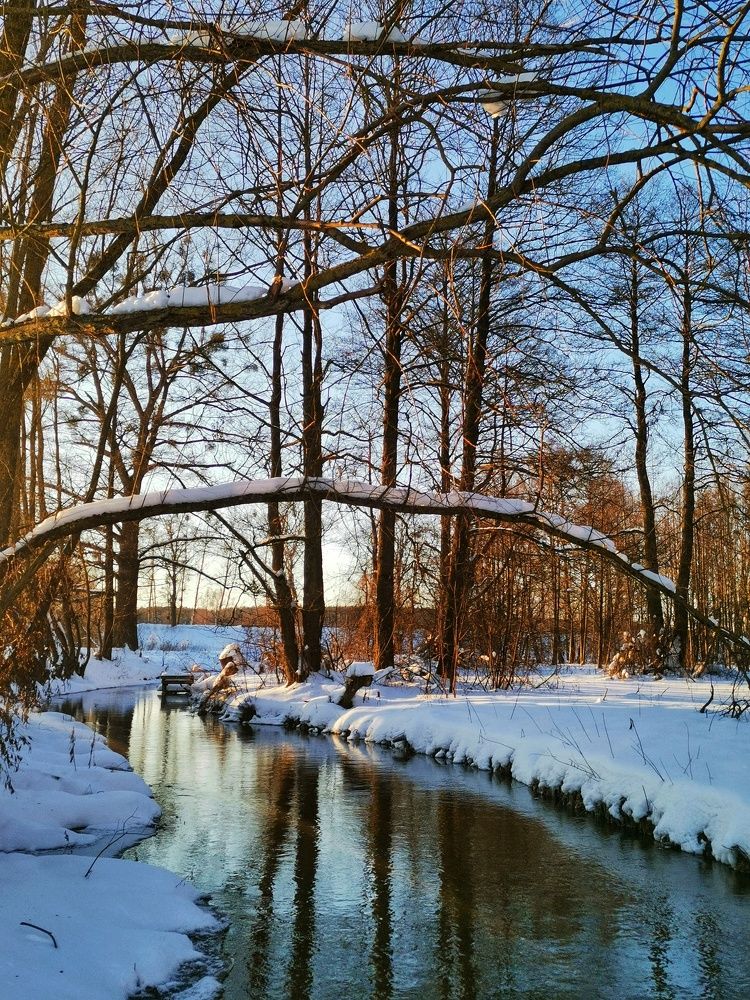 Photograph by Екатерина Ремез