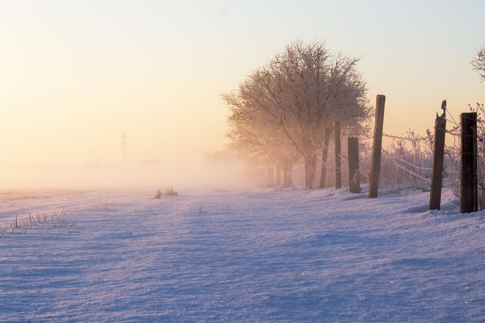Фотография автора Julio Esteban