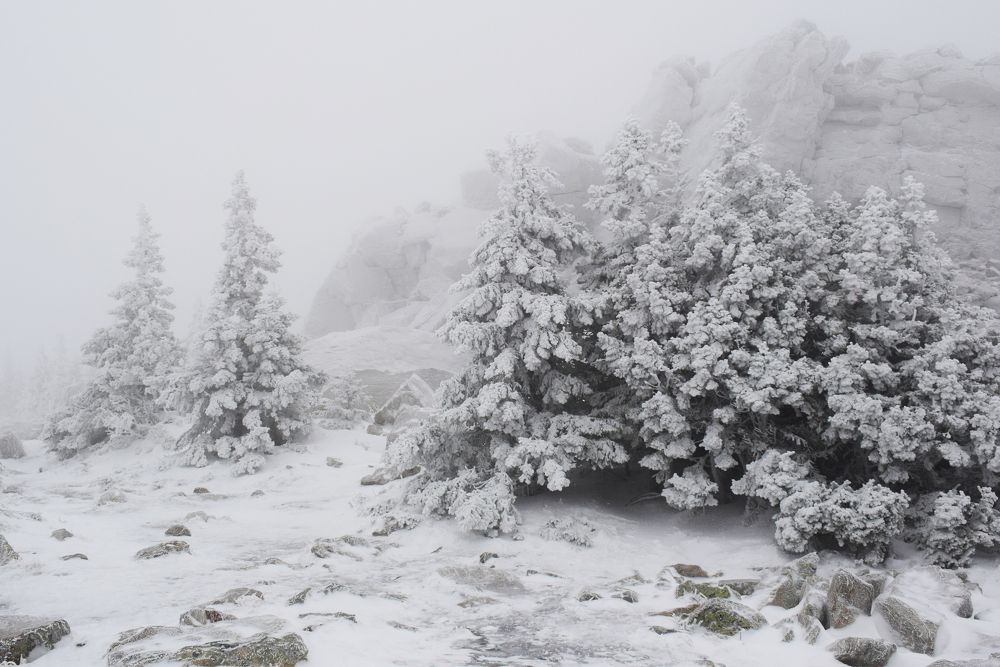 Photograph by Екатерина Вострякова