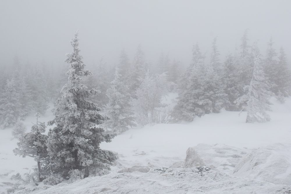 Photograph by Екатерина Вострякова