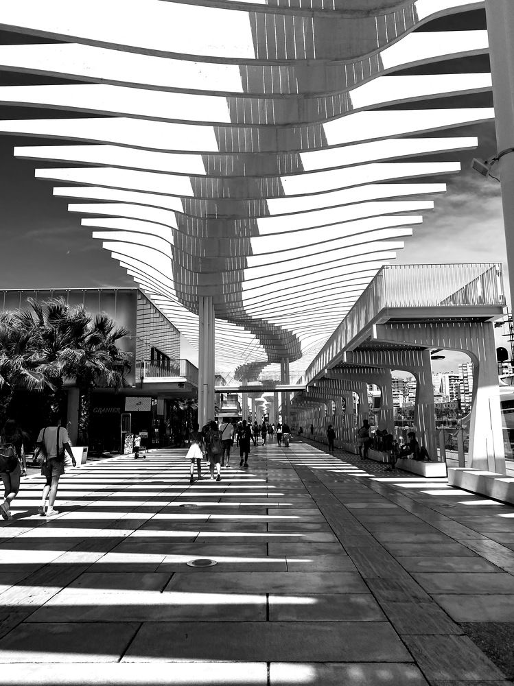 Photograph by Мария Самсонова