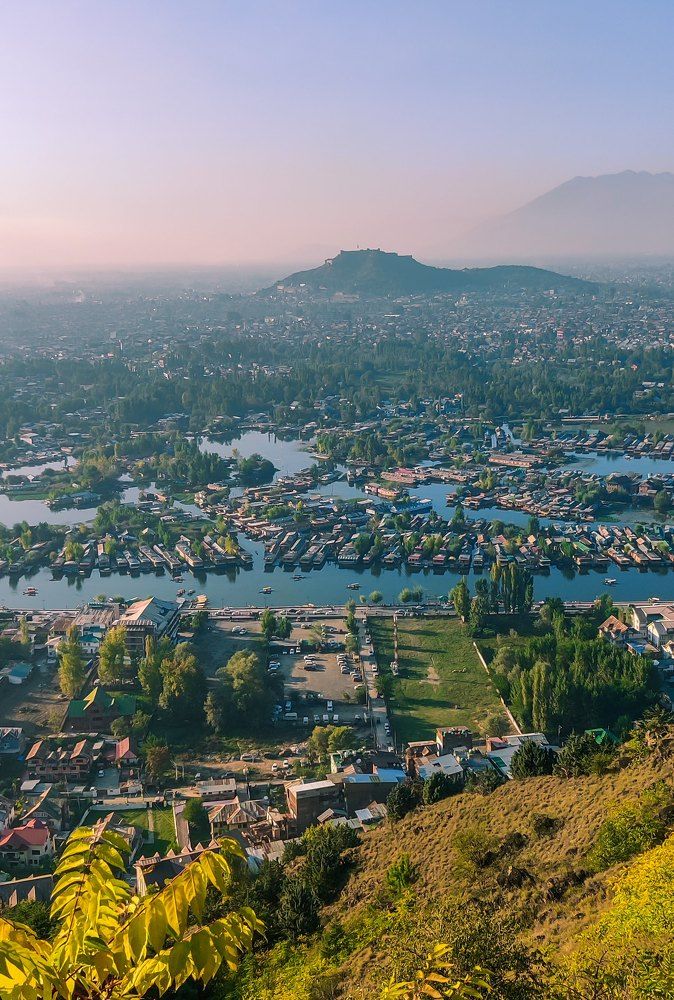 Фотография автора Basit nisar