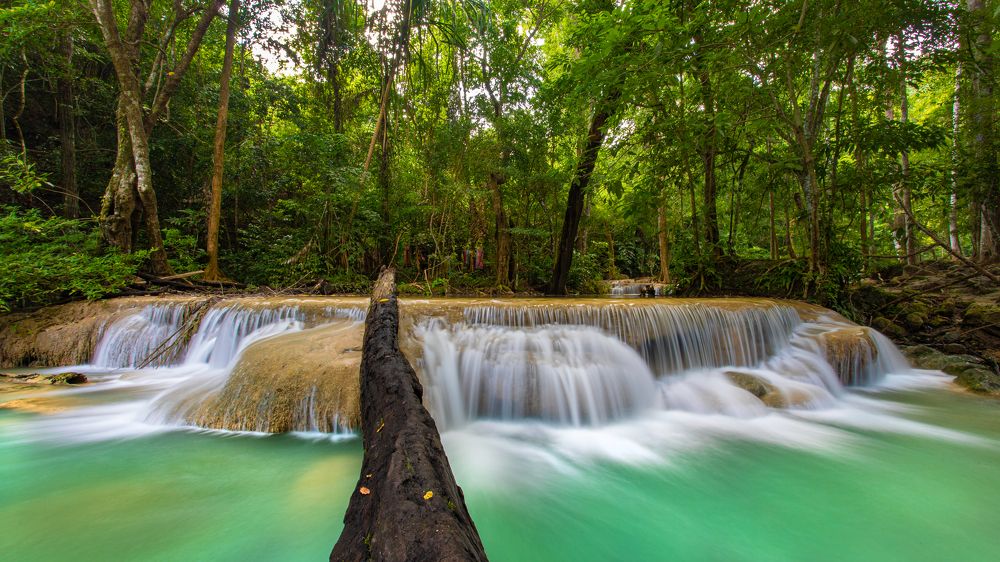 Photograph by Michael Mettier