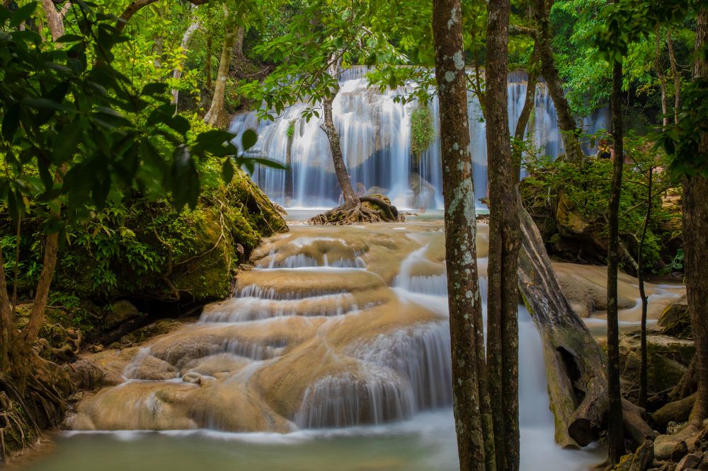 Photograph by Michael Mettier