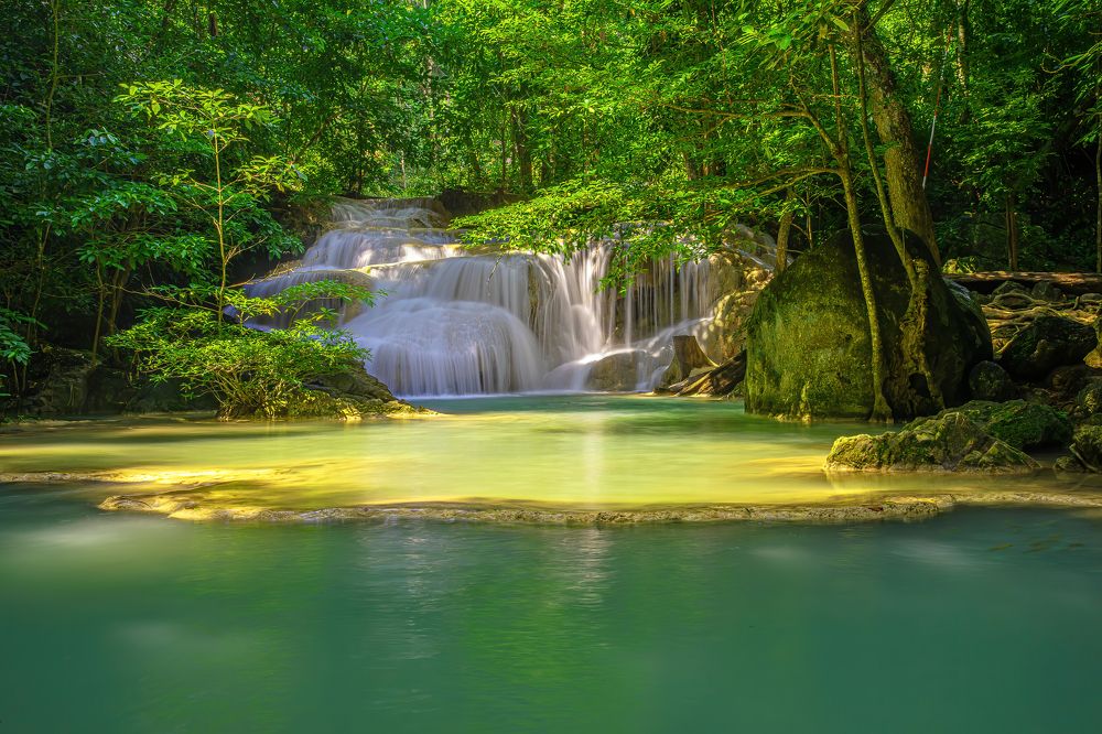 Photograph by Michael Mettier