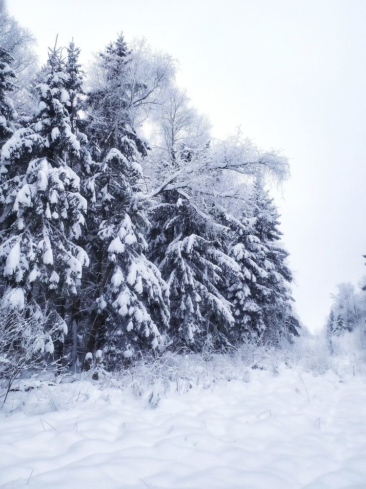 Photograph by Любовь Сухова