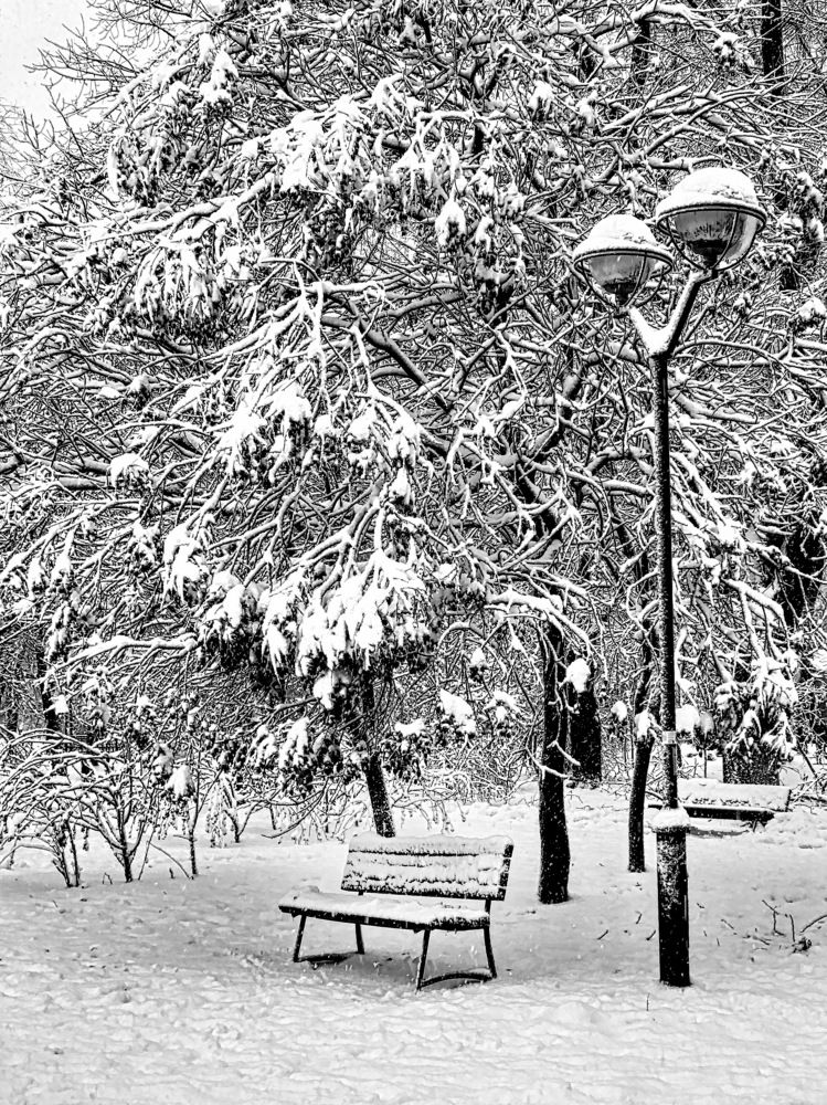 Photograph by Фаина Зеленая