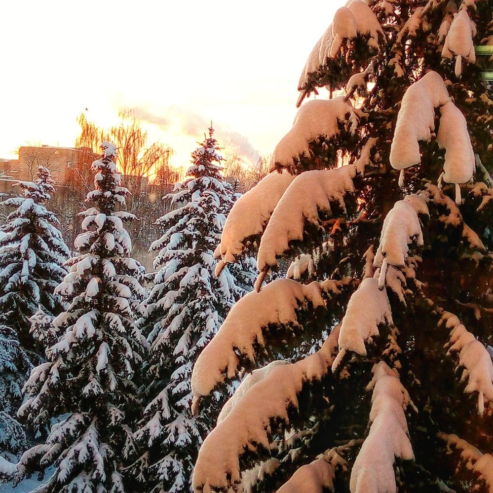 Photograph by Любовь Сухова