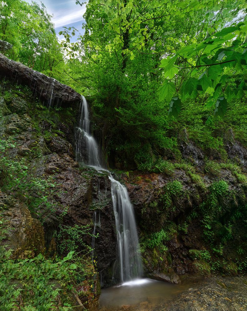 Фотография автора Farhad Alidost