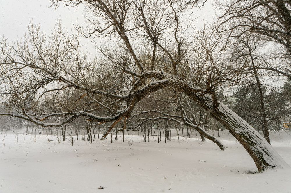 Photograph by Олег Ершов