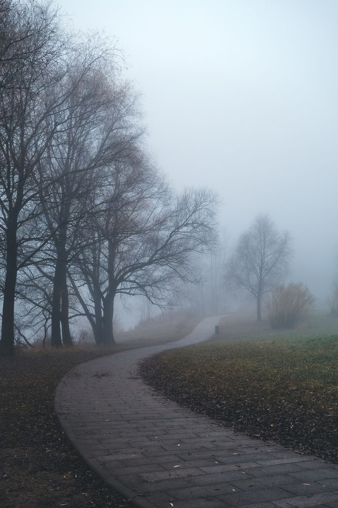 Photograph by Любовь