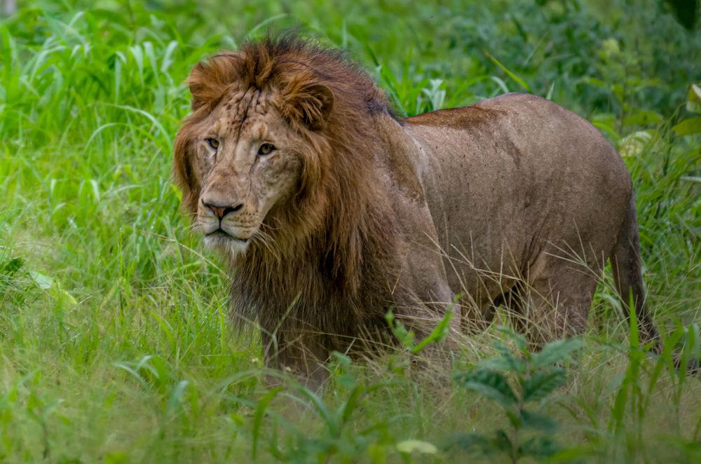 Photograph by Kshitij Patle