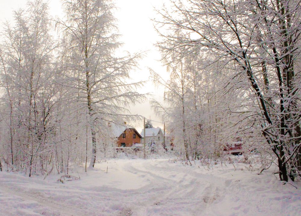 Уютная зима