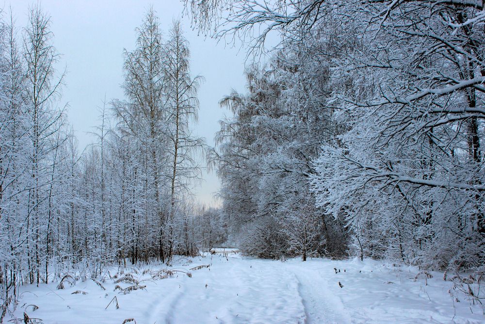 Зимняя сказка