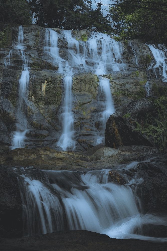 Photograph by Tharindu k