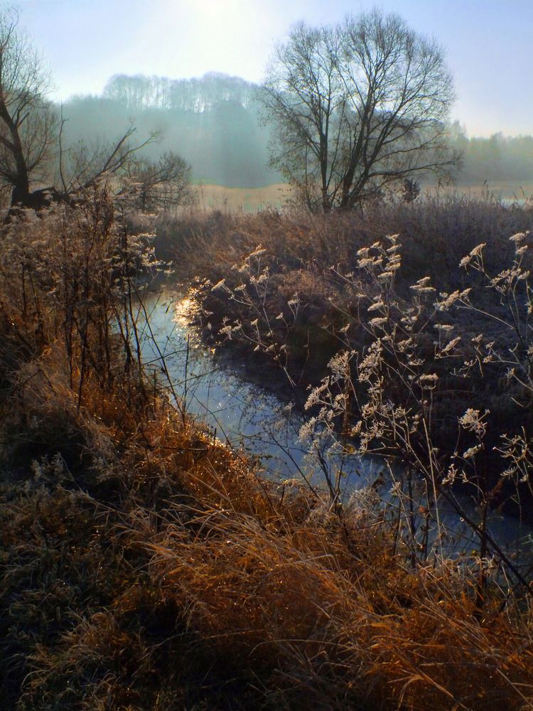 Photograph by Дмитрий Крылов