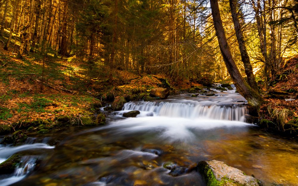 Фотография автора Valentina Mihalache