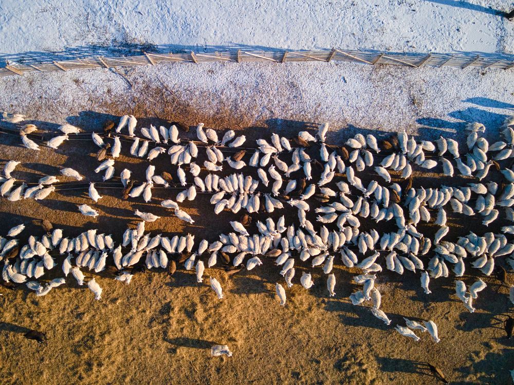 Photograph by Алексей Курочкин