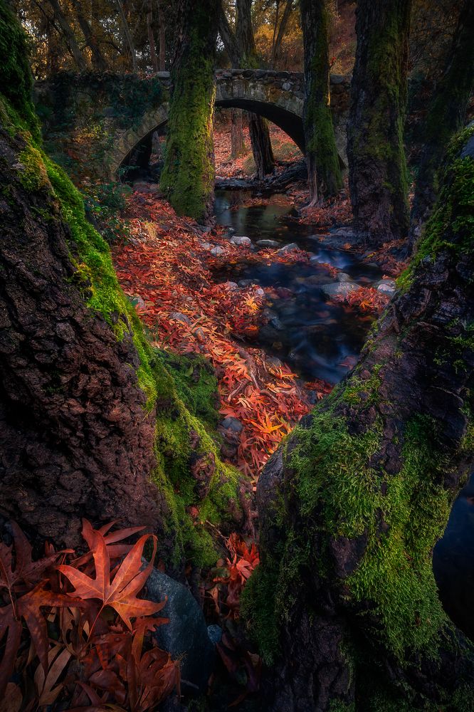 Photograph by Evgeni Fabis