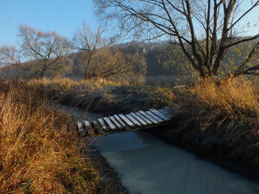 Photograph by Дмитрий Крылов
