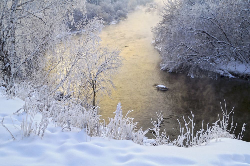 Золотая речка.