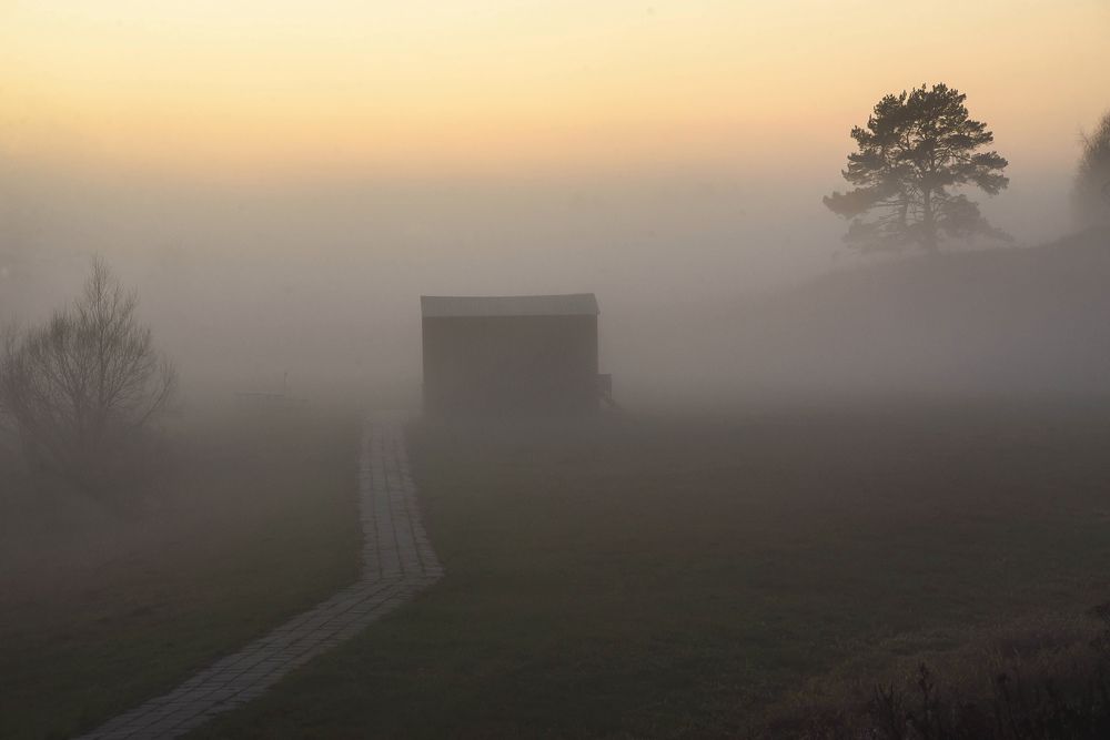 Photograph by Татьяна Чичковская