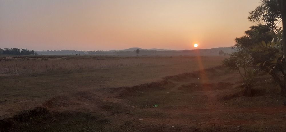 Photo #6899216