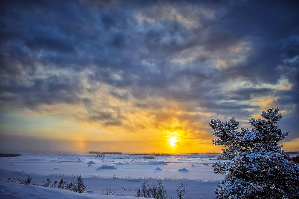 Photograph by Сергей Лисов