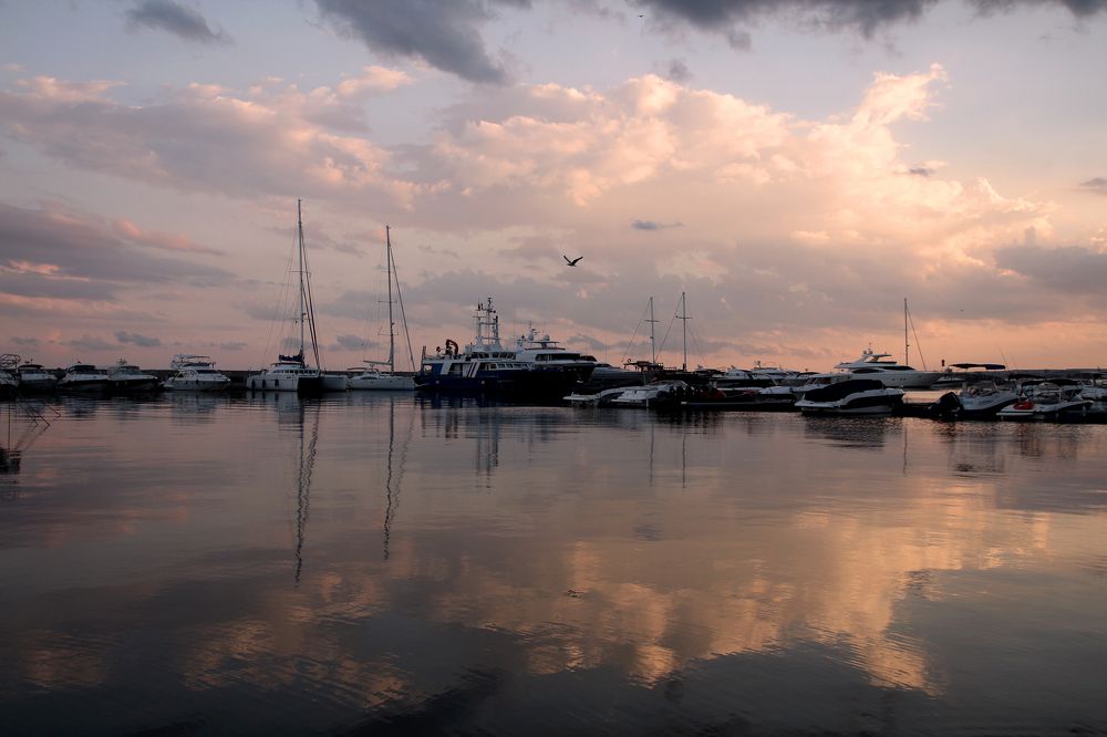 Photograph by Валерия Маркова