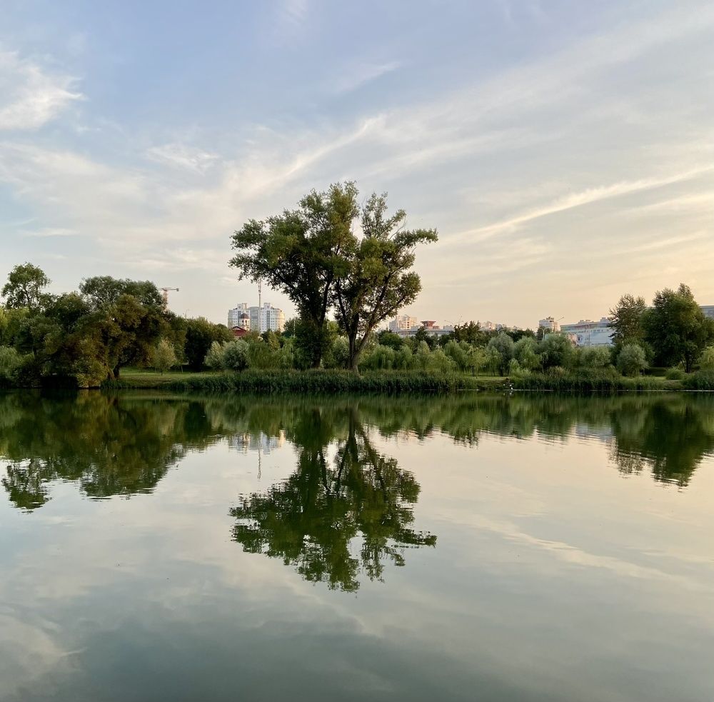 Photograph by Светлана