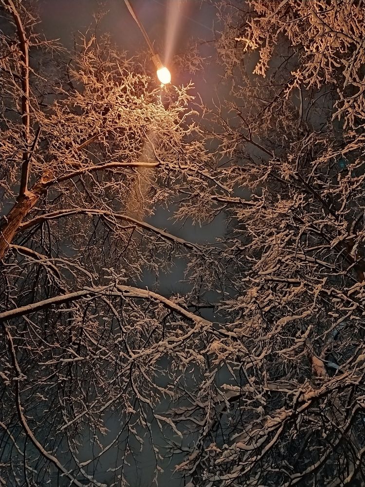 Photograph by Марина Василенко