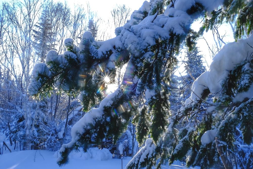 Photograph by Яна