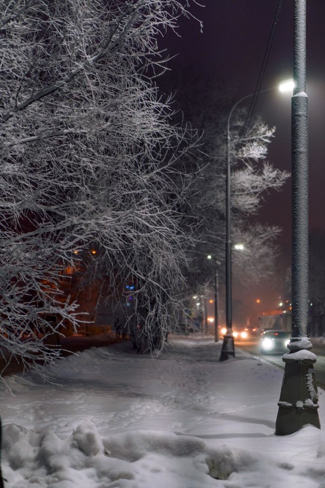 Photograph by Pavel Morozov