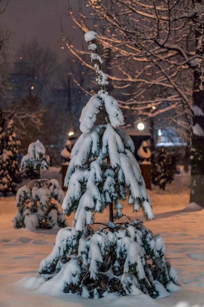 Photograph by Pavel Morozov