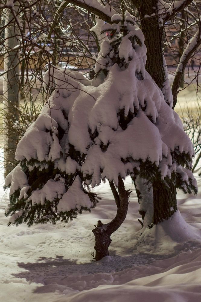 Photograph by Pavel Morozov