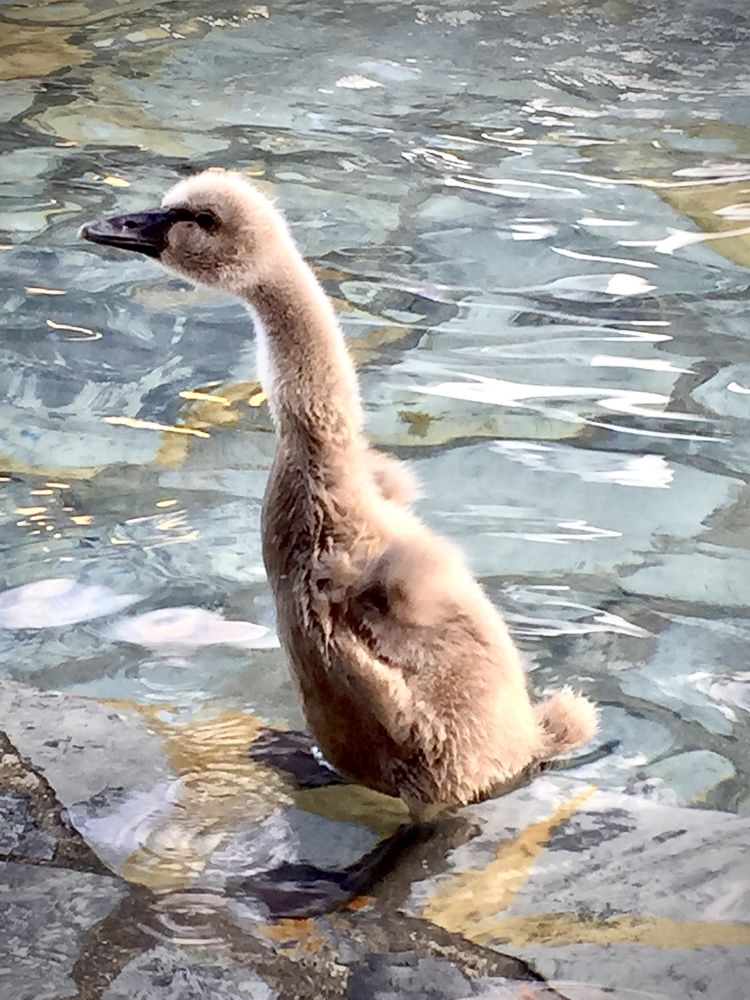 Photograph by Ольга Демашова