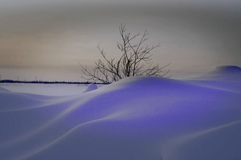 Photograph by Николай Почкалов