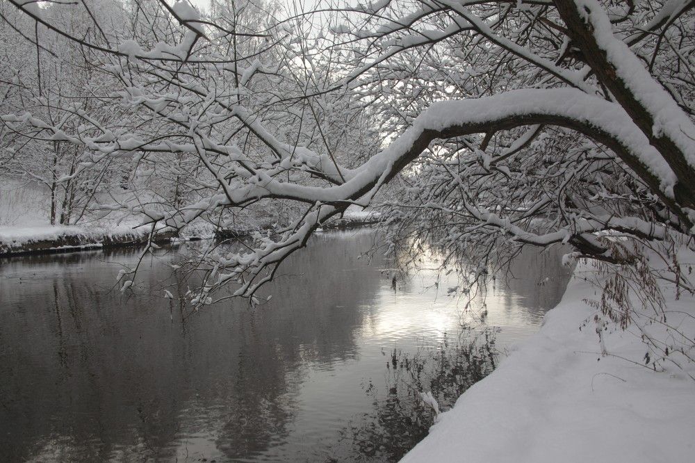 Photograph by Михаил Строев