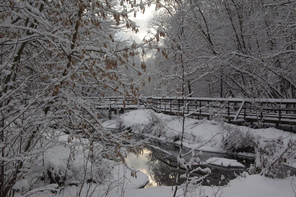 Photograph by Михаил Строев