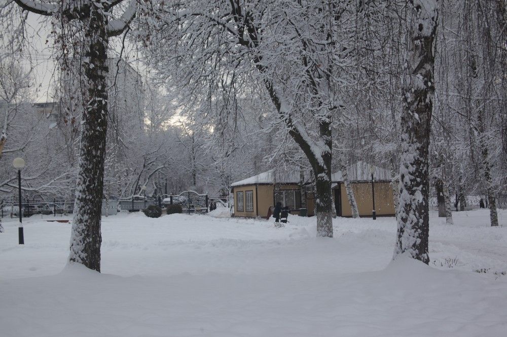 Photograph by Михаил Строев