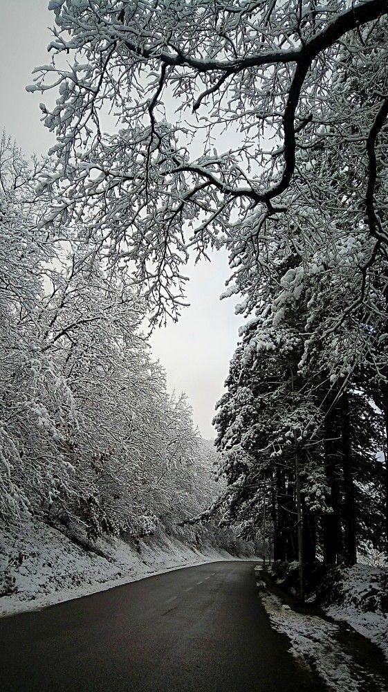 Photograph by Luan Kantarxhiu