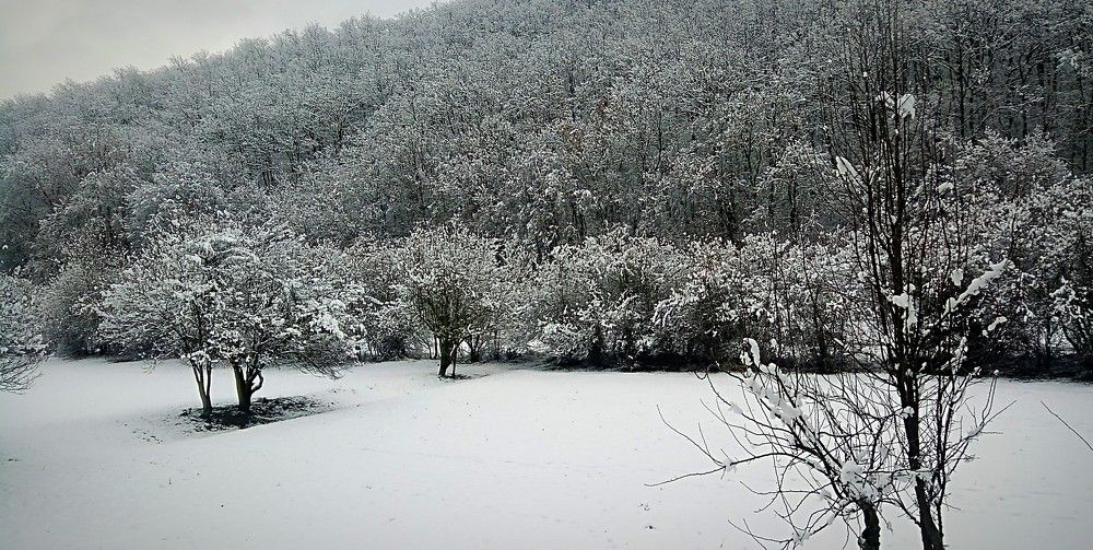 Photograph by Luan Kantarxhiu