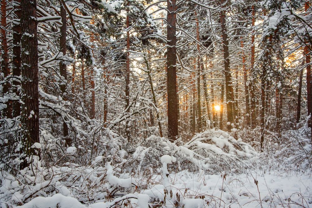 Photograph by Николай Швалюк