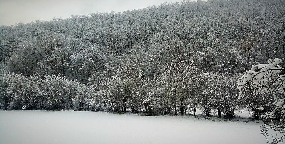 Photograph by Luan Kantarxhiu