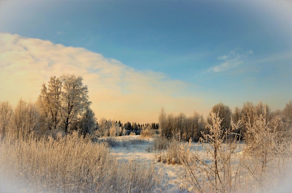Photograph by Олег Менакер
